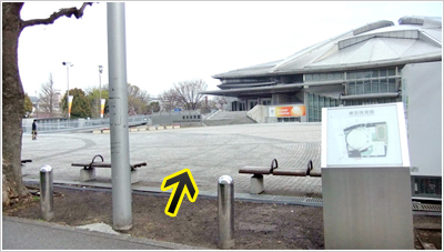 東京体育館敷地内の写真