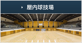 屋内球技場