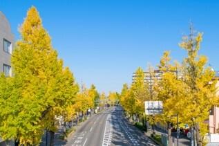 画像２.jpg