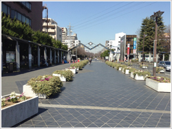 東綾瀬公園の写真